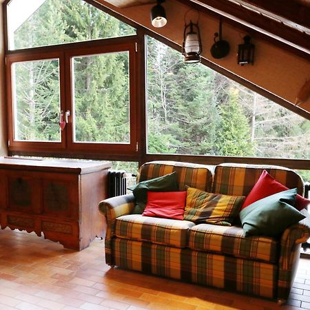 Fewo Schwarzwaldblick, 3 Schlafzimmer Todtnau-Muggenbrunn, Liftverbund Feldberg Kültér fotó