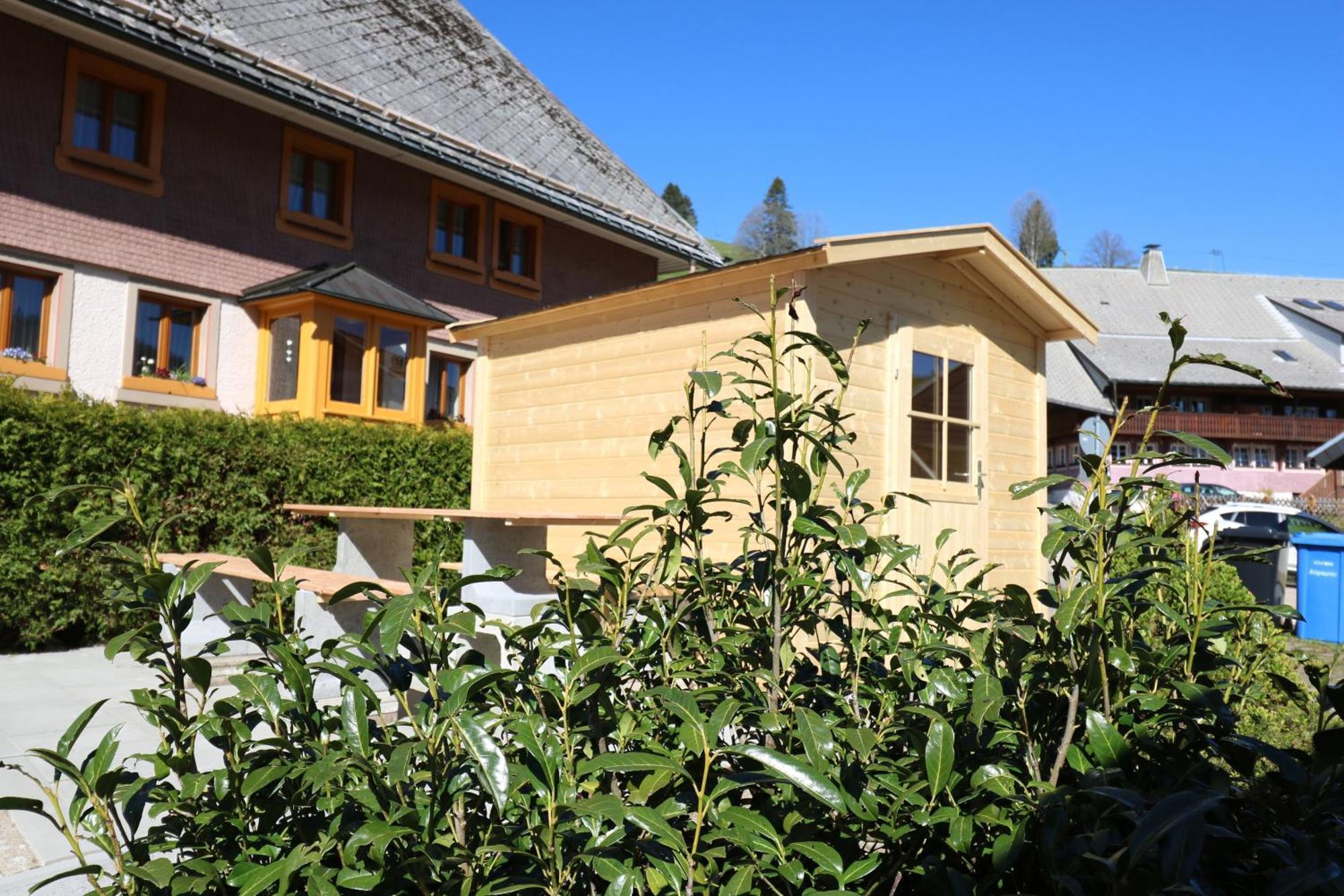 Fewo Schwarzwaldblick, 3 Schlafzimmer Todtnau-Muggenbrunn, Liftverbund Feldberg Kültér fotó