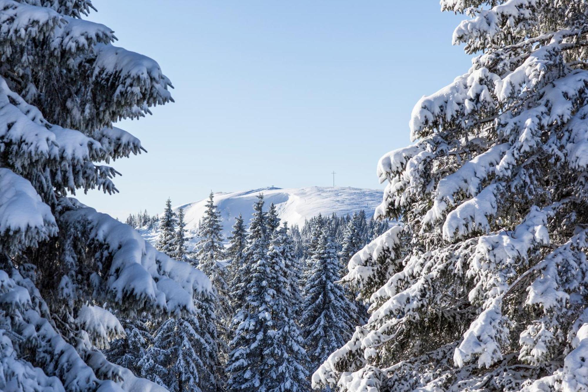 Fewo Schwarzwaldblick, 3 Schlafzimmer Todtnau-Muggenbrunn, Liftverbund Feldberg Kültér fotó