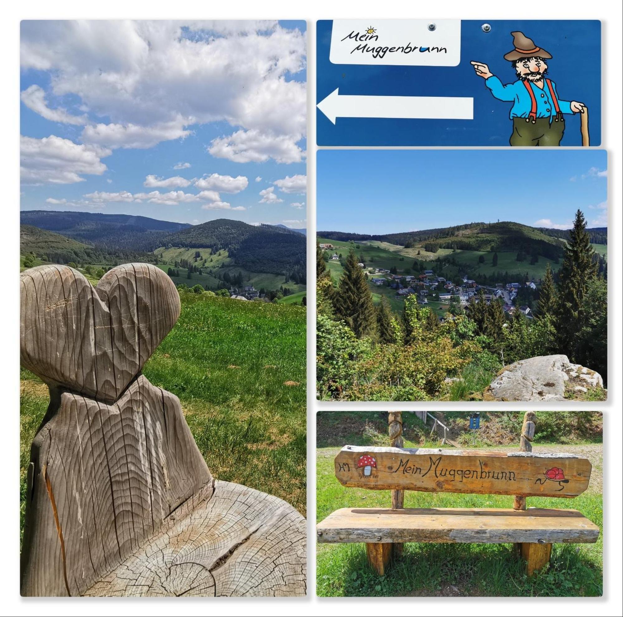 Fewo Schwarzwaldblick, 3 Schlafzimmer Todtnau-Muggenbrunn, Liftverbund Feldberg Kültér fotó